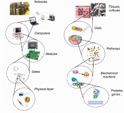 魔術(shù)師之手 計算機網(wǎng)絡(luò)工程如何以無形之力重塑世界